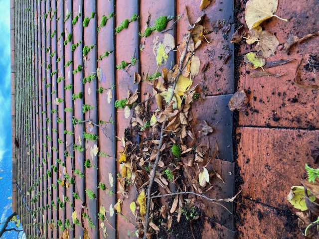 Gutters and Rainwater Goods image 12